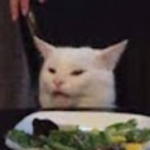 Meet your Posher, Zoe